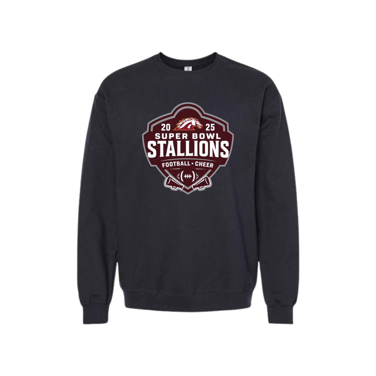 STALLIONS FOOTBALL AND CHEER