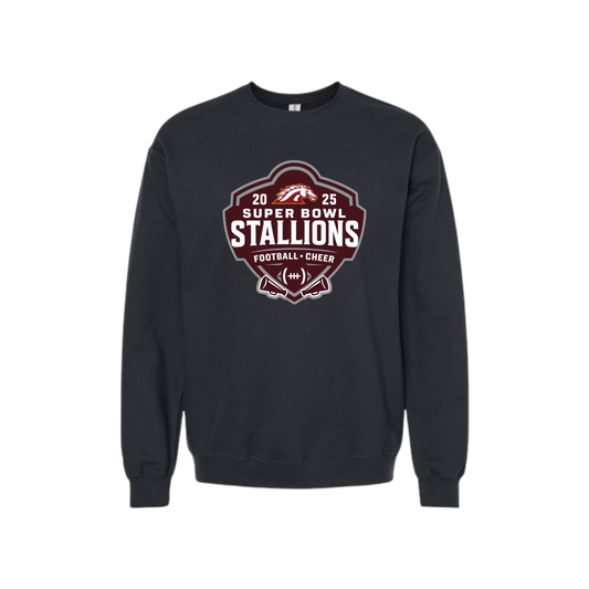 STALLIONS FOOTBALL AND CHEER